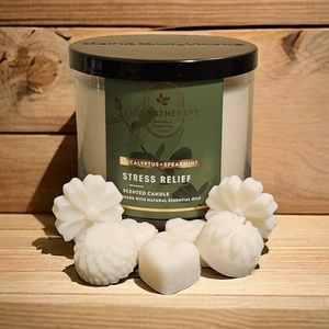 Eucalyptus + Spearmint | Stress Relief | Wax Melts | Bath and Body Works